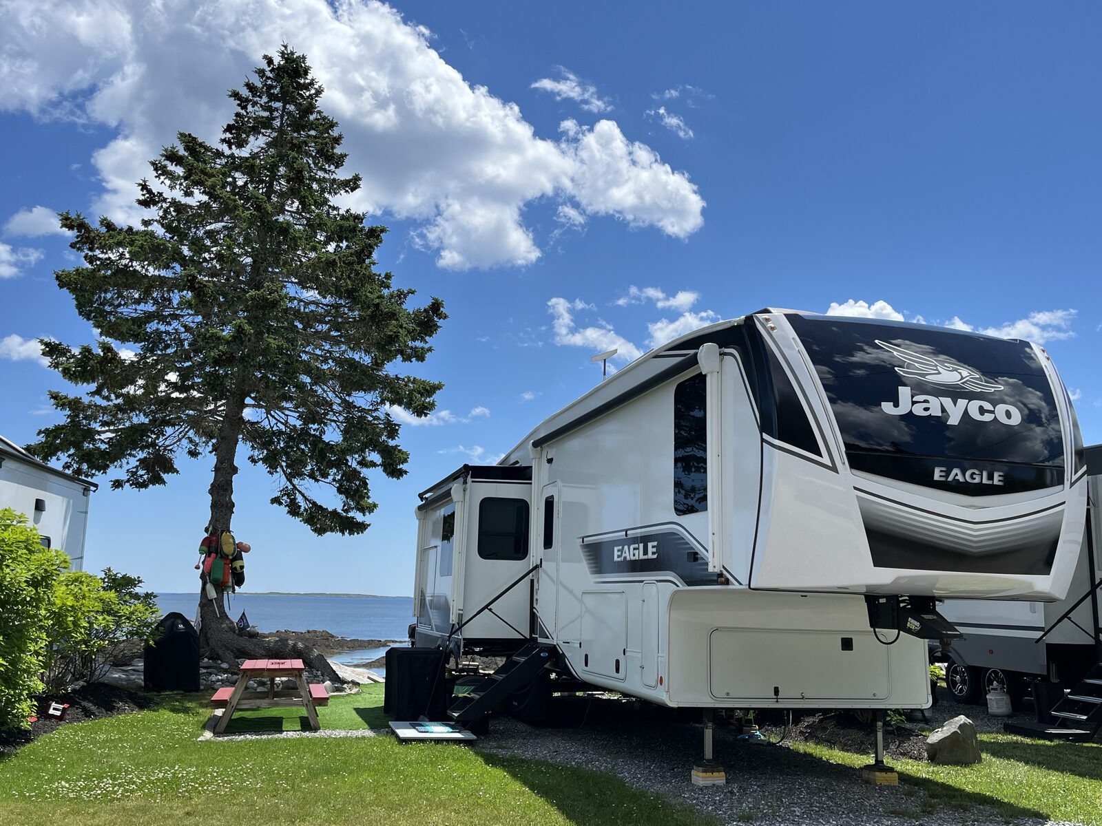 RV site with unobstructed ocean view and a large pine tree at Gray Homestead Oceanfront Camping