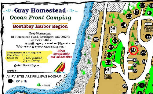 Site 31 Map