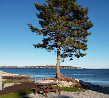 Seasonal RV site by the ocean at Gray Homestead Camping near Boothbay Harbor, Maine