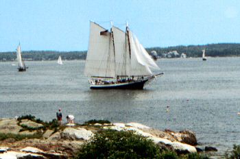 Watch the windjammer parade from Gray Homestead Camping